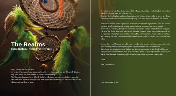 Het boek "Shamanic Nature of God" (Nederlandstalig) - Afbeelding 4