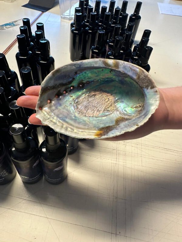 Sacred Smudge Set | The Shamanic Nature of God - Image 2