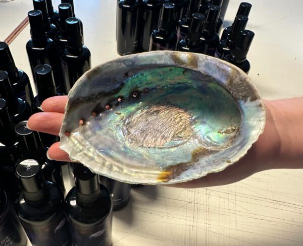 Sacred Smudge Set | The Shamanic Nature of God - Afbeelding 2