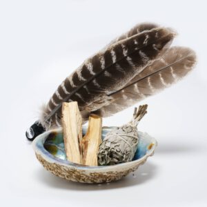 Sacred Smudge Set | The Shamanic Nature of God