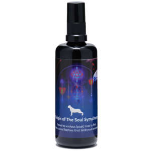 Energy Spray Origin of The Soul Symphony