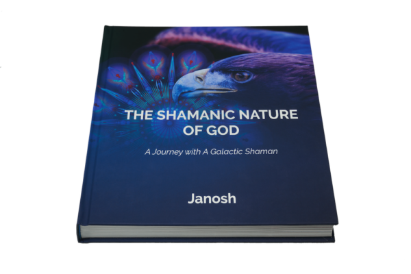 Combi book & workbook "Shamanic Nature of God" (English) - Image 2
