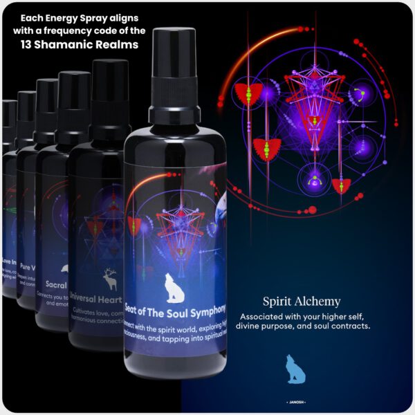 13 Rijken | Energy Sprays Symphony Collectie - Afbeelding 6