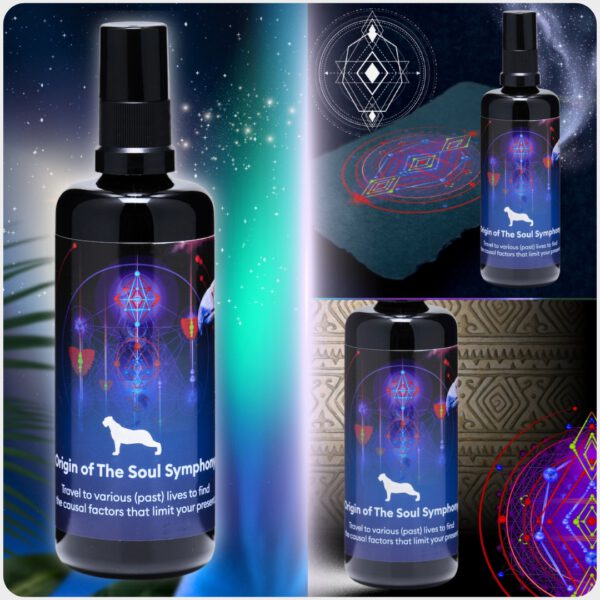 13 Rijken | Energy Sprays Symphony Collectie - Afbeelding 8