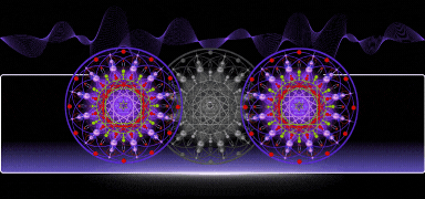 Janosh GIF - Activation Page - activation - inner liberation - np